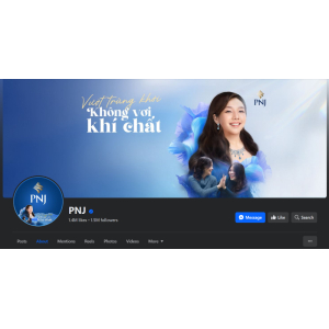 CN CTCP Vàng Bạc Đá Quý Phú Nhuận - PNJ An Giang